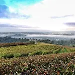 Apartamento Rostagni1834: With 2 Apts And Pool In The Barolo Region *