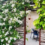 Rostagni1834: With 2 Apts And Pool In The Barolo Region Apartamento *