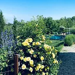 Rostagni1834: With 2 Apts And Pool In The Barolo Region