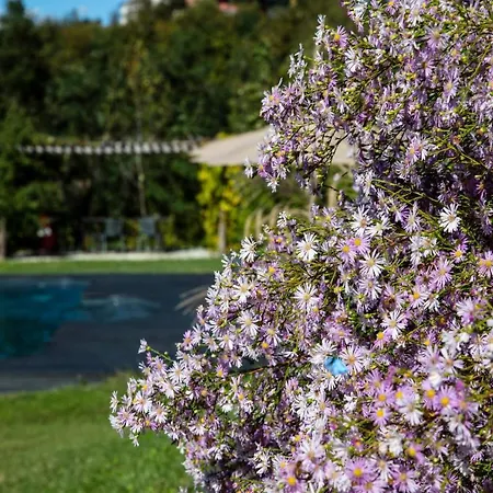 Apartamento Rostagni1834: With 2 Apts And Pool In The Barolo Region