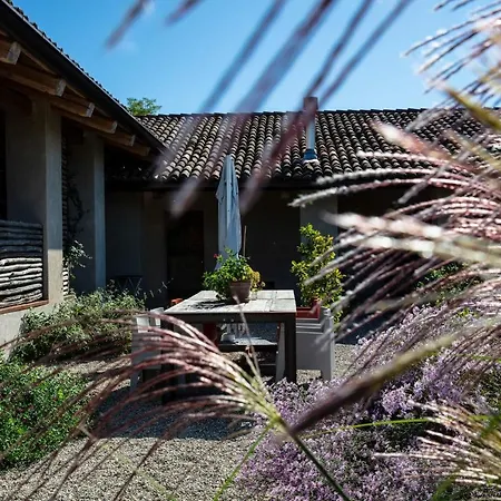 Rostagni1834: With 2 Apts And Pool In The Barolo Region * Novello