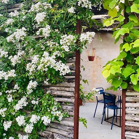 Rostagni1834: With 2 Apts And Pool In The Barolo Region Apartmán *