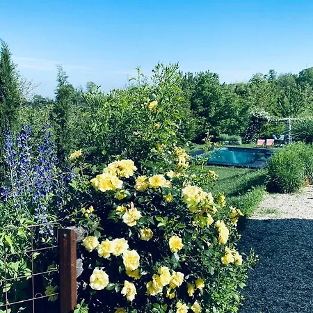 Rostagni1834: With 2 Apts And Pool In The Barolo Region